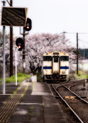 桜を望む あのホームで。。