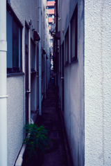 狭路
