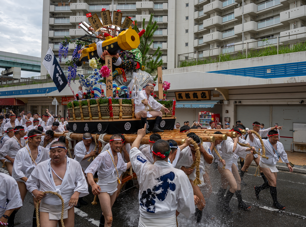 2024 千代流 他流舁き--5