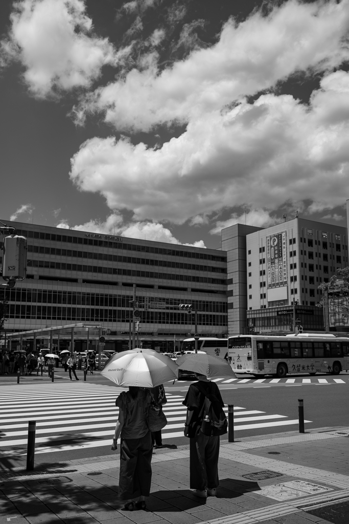 夏陽の待ち合わせ