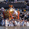 黄金神輿の御入水