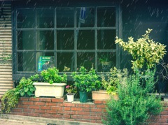 Rain caused by Mal