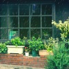 Rain caused by Mal