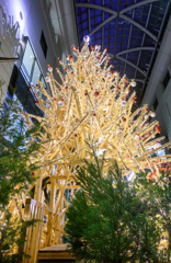 光と木の生命力