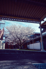 新入生を待つ学び舎-1