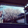 新入生を待つ学び舎-1