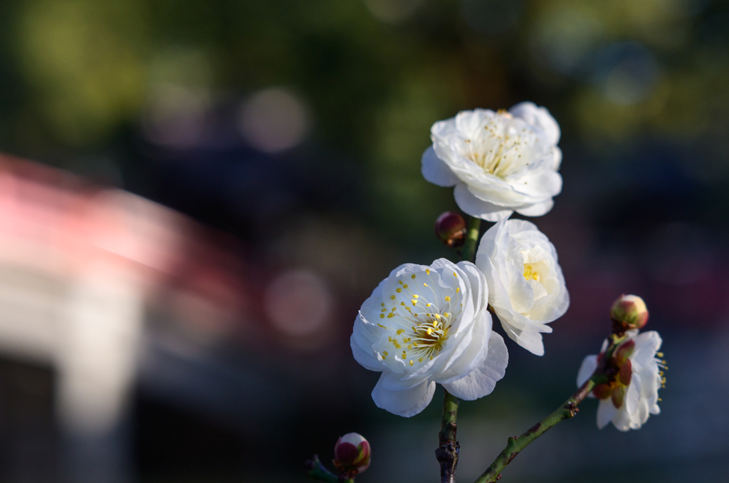 凛とした空気に