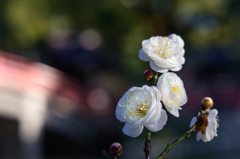凛とした空気に