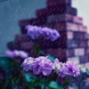 美しい鬱蒼