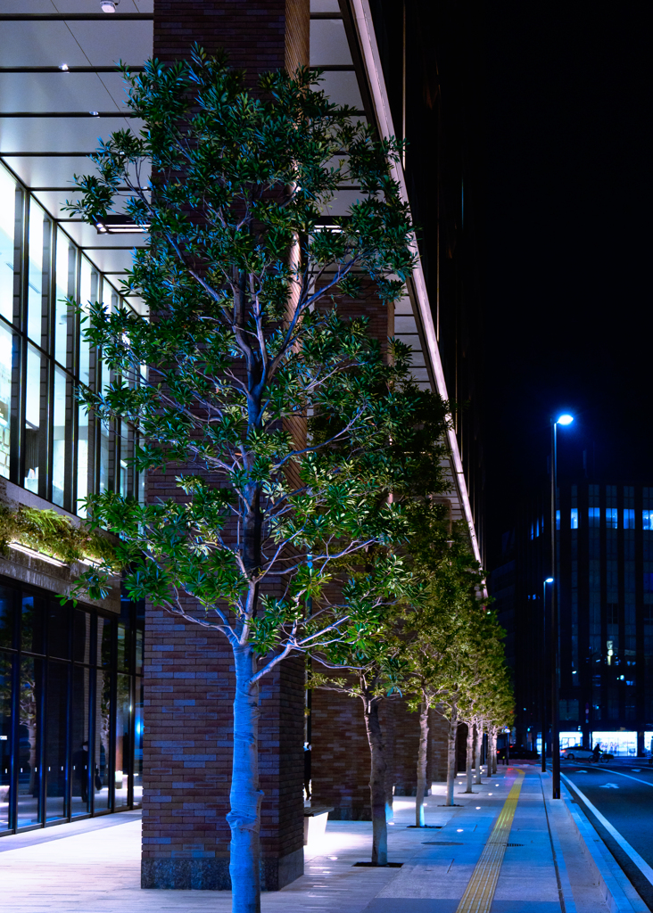 人影途絶えたオアシス