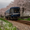 甘木越え・桜の花路