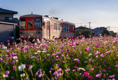 黄昏の吐息のせて