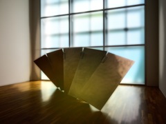 琥珀が広がる