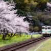 桜と列車に童 集う