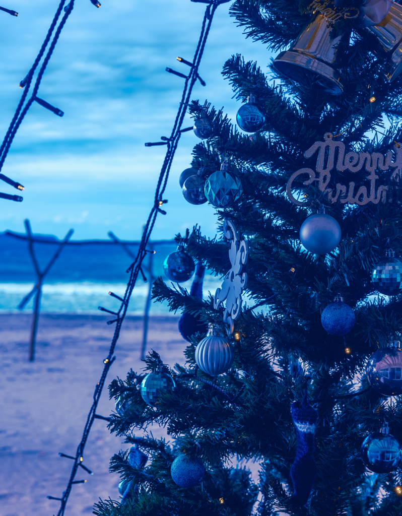 海辺のBlue Christmas