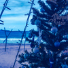 海辺のBlue Christmas