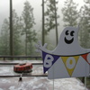 BOO!