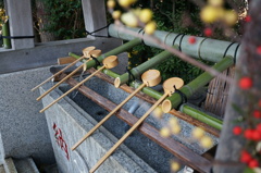 若水