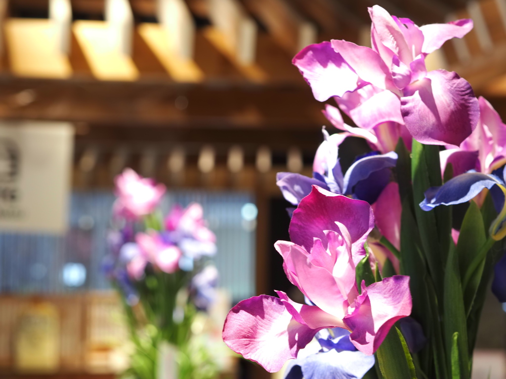 「しょうぶ」と「あやめ」はどちらも「菖蒲」