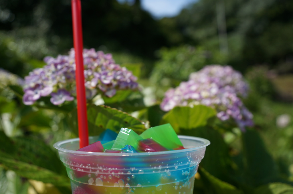 紫陽花サイダー
