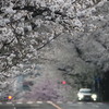 通り抜け
