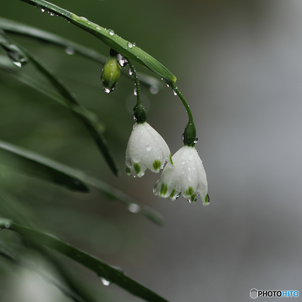 雨の日