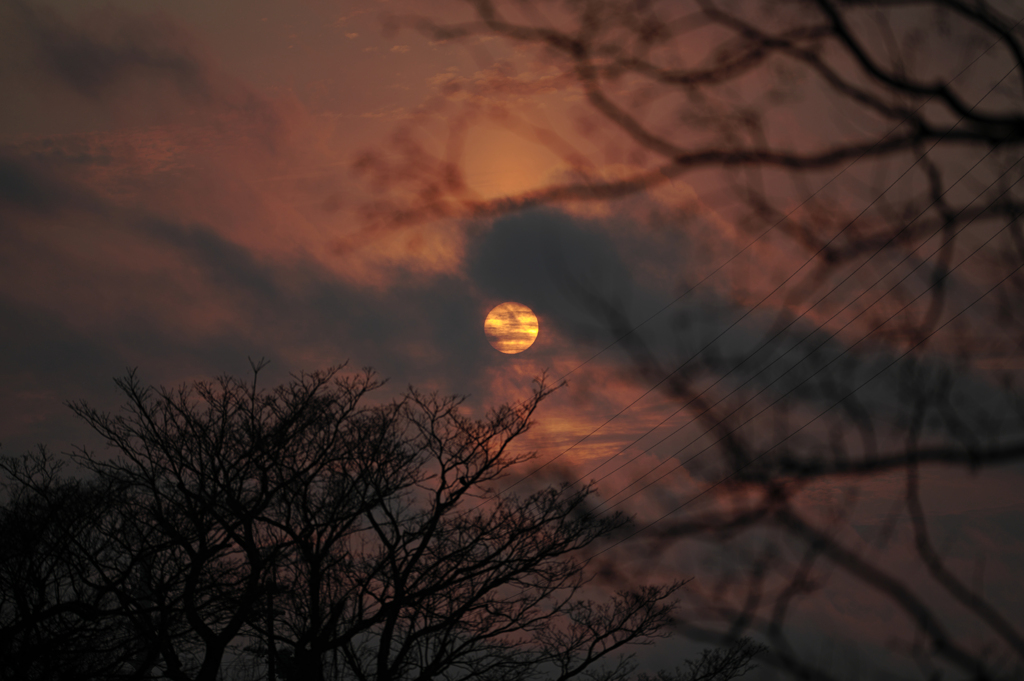 太陽
