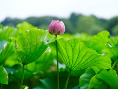 DSCF0089