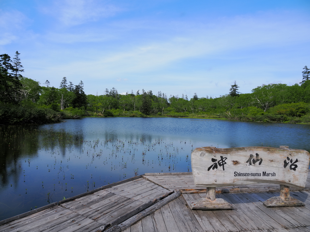 神仙沼