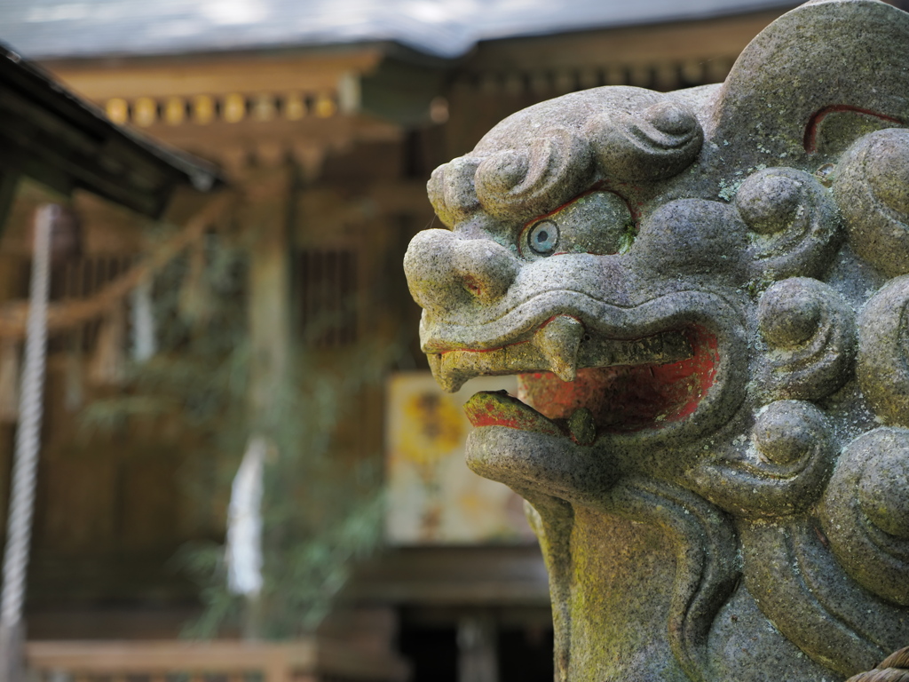 獅子