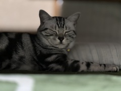 IMG_8453