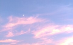 上弦と夕焼け