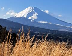 富士山　3月