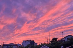 夕焼け-2