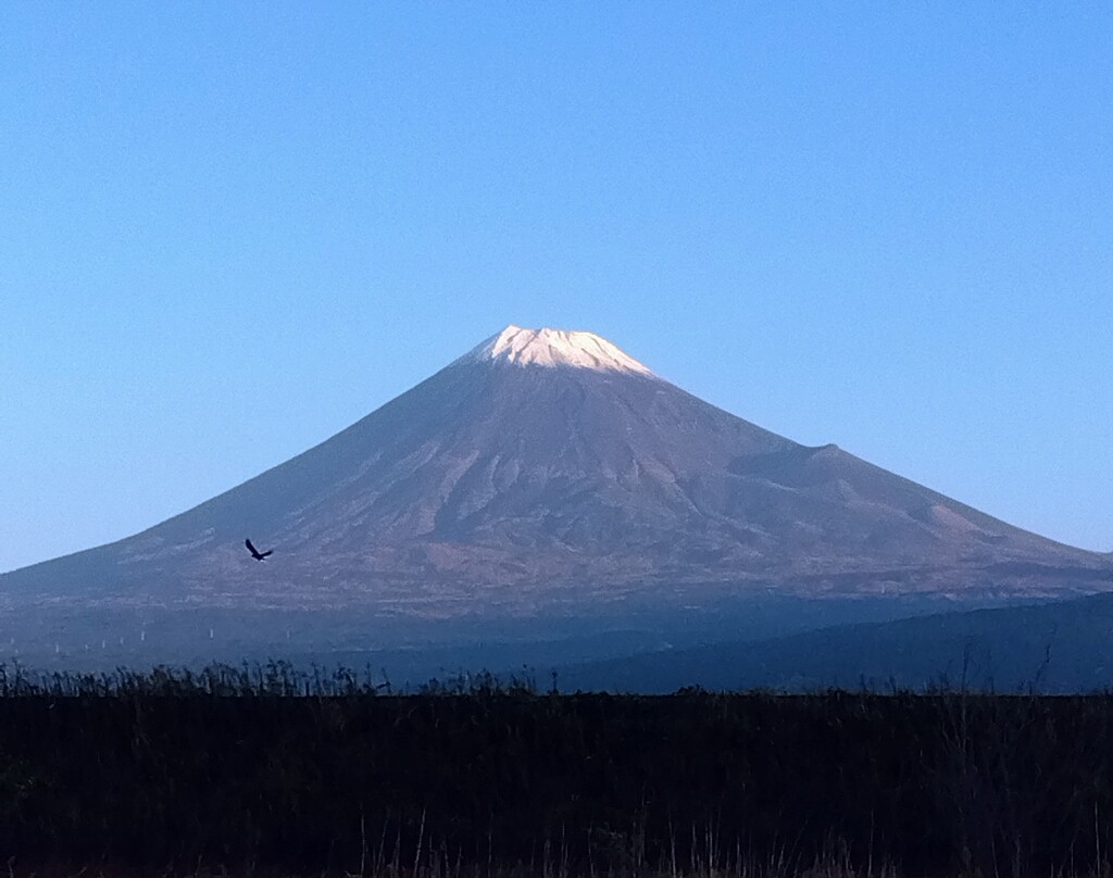 富士山 11月16日