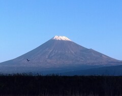 富士山 11月16日
