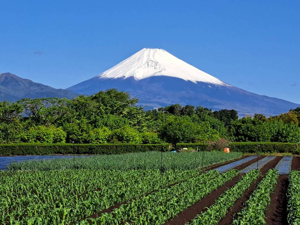 富士山　5月3日　1