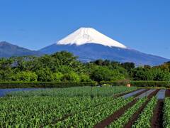 富士山　5月3日　1