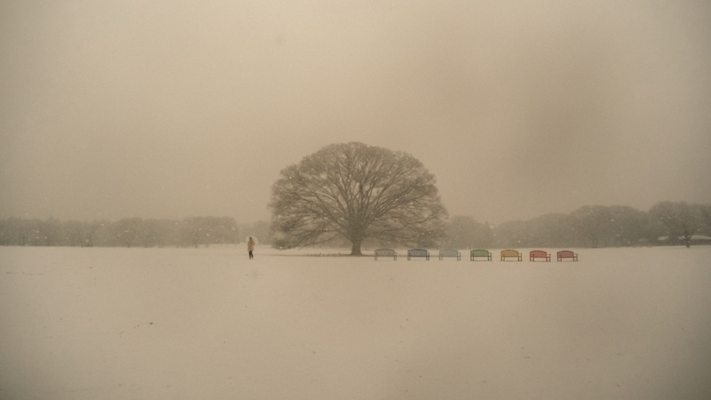 雪を待ってたの