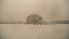 雪を待ってたの