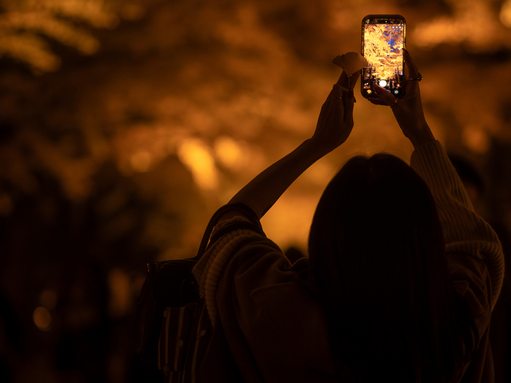 AIが育つまで2025