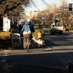 冬の自転車専用レーン