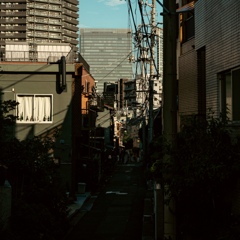 道に迷うときつい夏