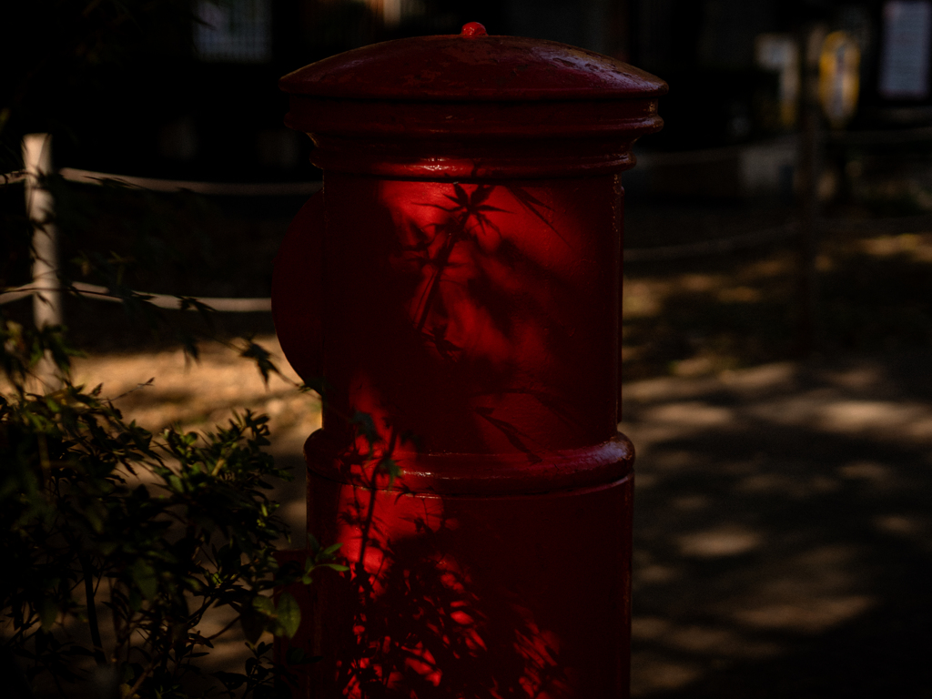 こっちのポスト・秋