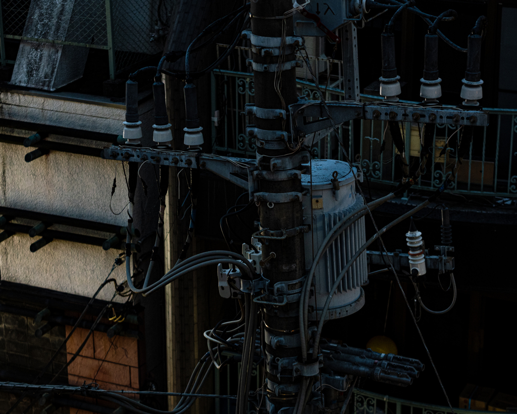 電柱のここの部分をよく見てた
