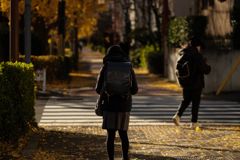 初冬の通学路