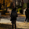 初冬の通学路