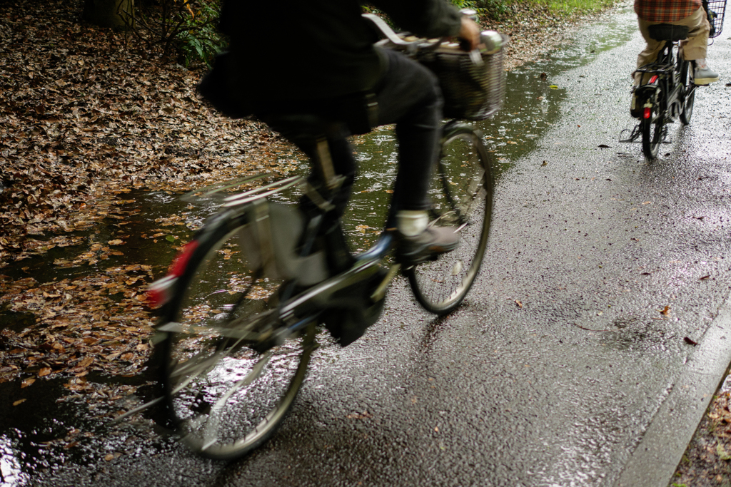 魅惑の急な雨