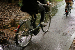 魅惑の急な雨