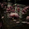 雨のベンチ